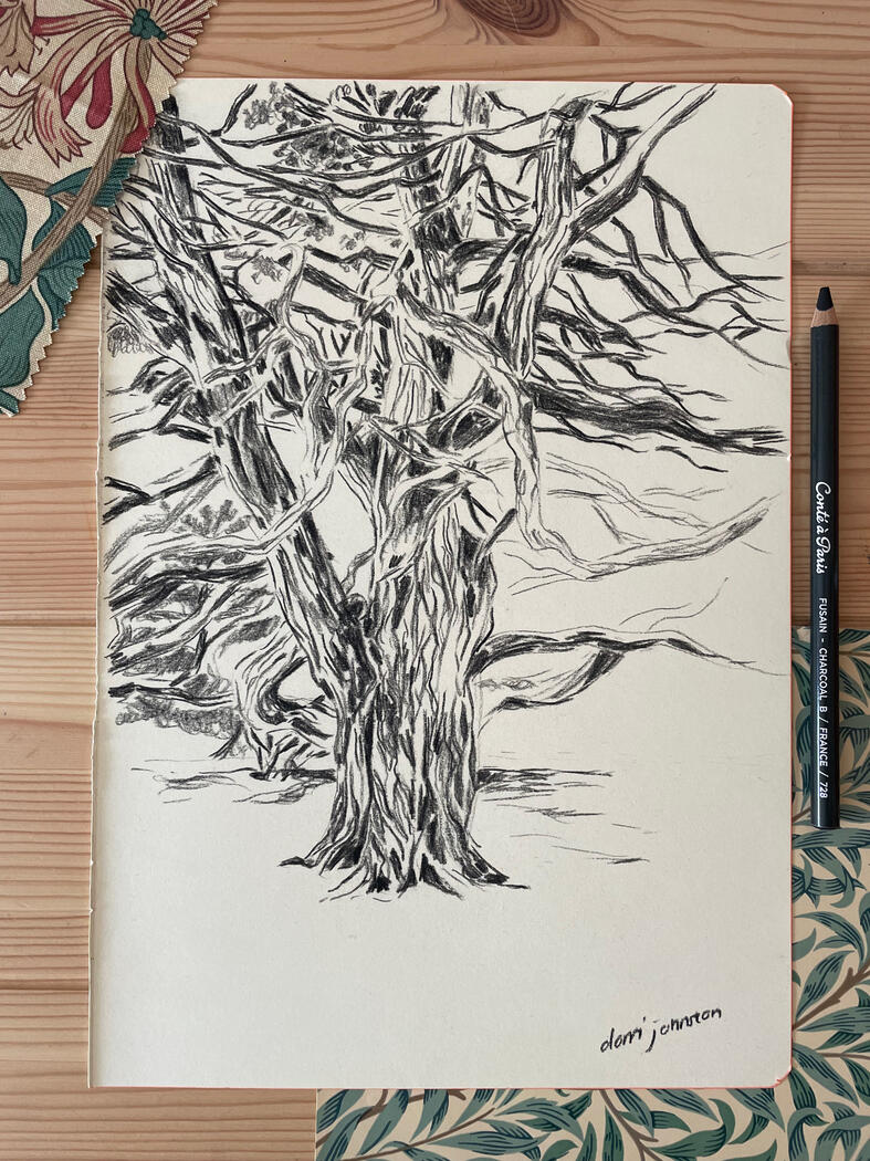Untitled Untitled